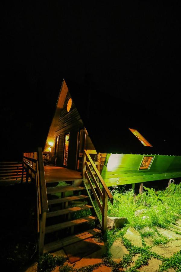 Wooden Cottage "Green House" In Bakuriani Exteriör bild